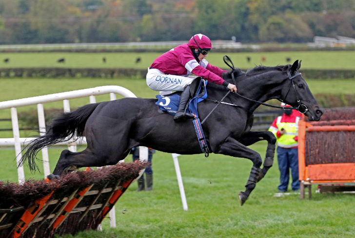 Cheltenham Festival Focus: Swing the axe at 16/1 shot in the Albert Bartlett